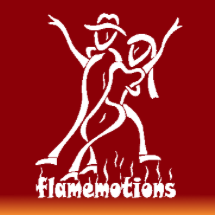 Salsaland Partner Flamemotions